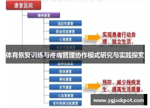 体育恢复训练与疼痛管理协作模式研究与实践探索